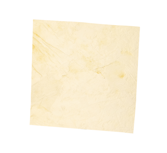 AmnioGain® Amnion-Chorion Sheet