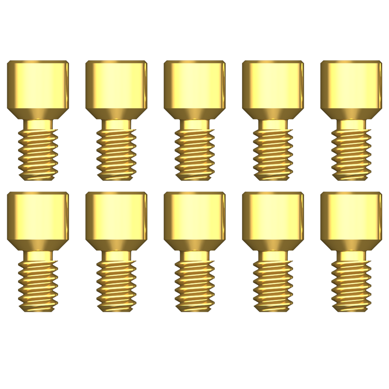 Prosthetic Screws